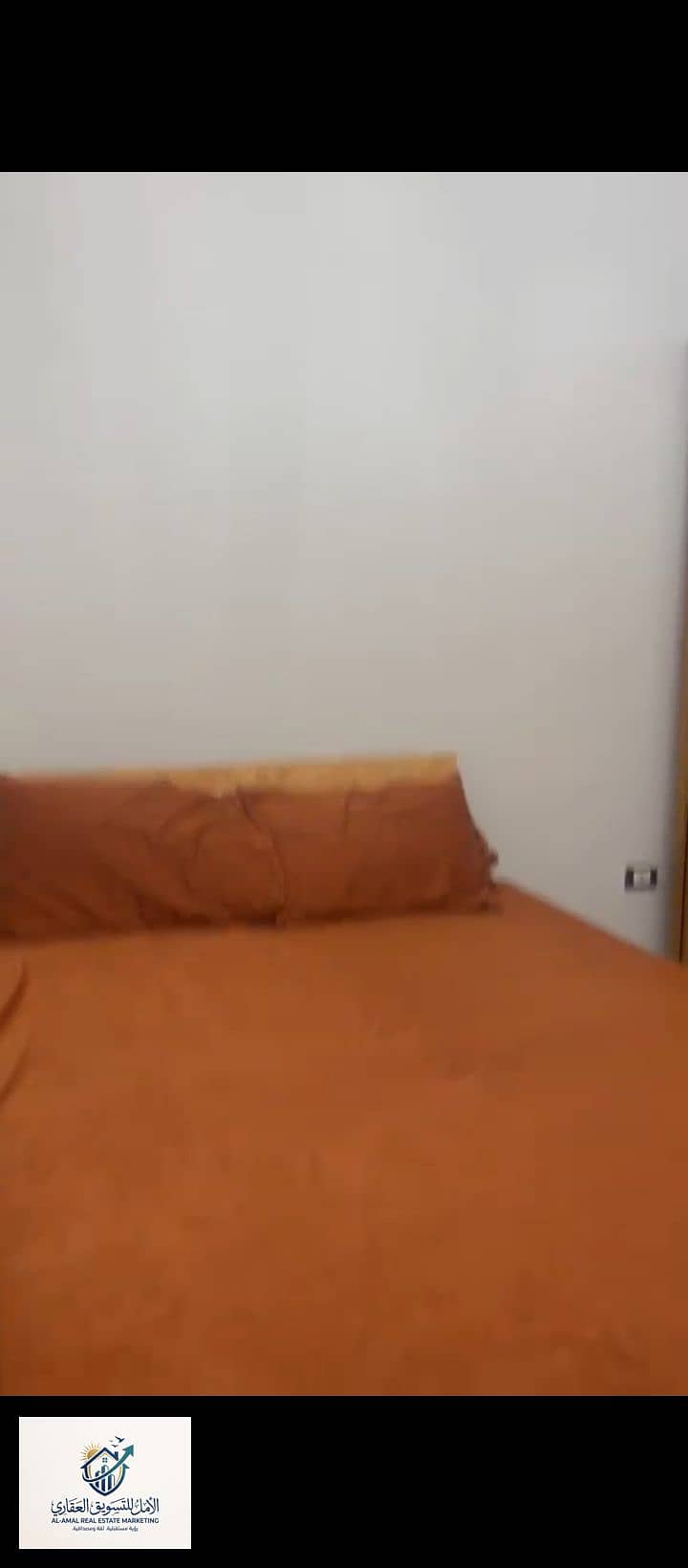 10 1000294844. jpg