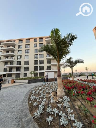 4 Bedroom Townhouse for Sale in Palm Hills, Alexandria - WhatsApp Image 2026-07-04 at 16.01. 11. jpeg