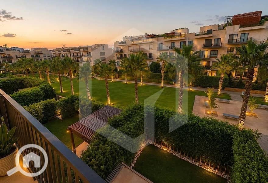12 Courtyard Sodic 12. jpg