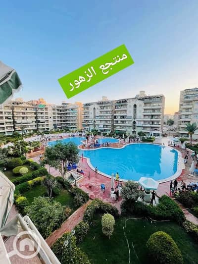 شقة 2 غرفة نوم للايجار في النخيل، الإسكندرية - 17078. jpg