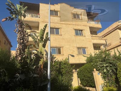 3 Bedroom Apartment for Sale in New Cairo, Cairo - 02ea7da7-f475-4bf1-9585-1a2508c7a1c9. jpeg 3 Bedroom Apartment for Sale in New Cairo, Cairo - 02ea7da7-f475-4bf1-9585-1a2508c7a1c9. jpeg