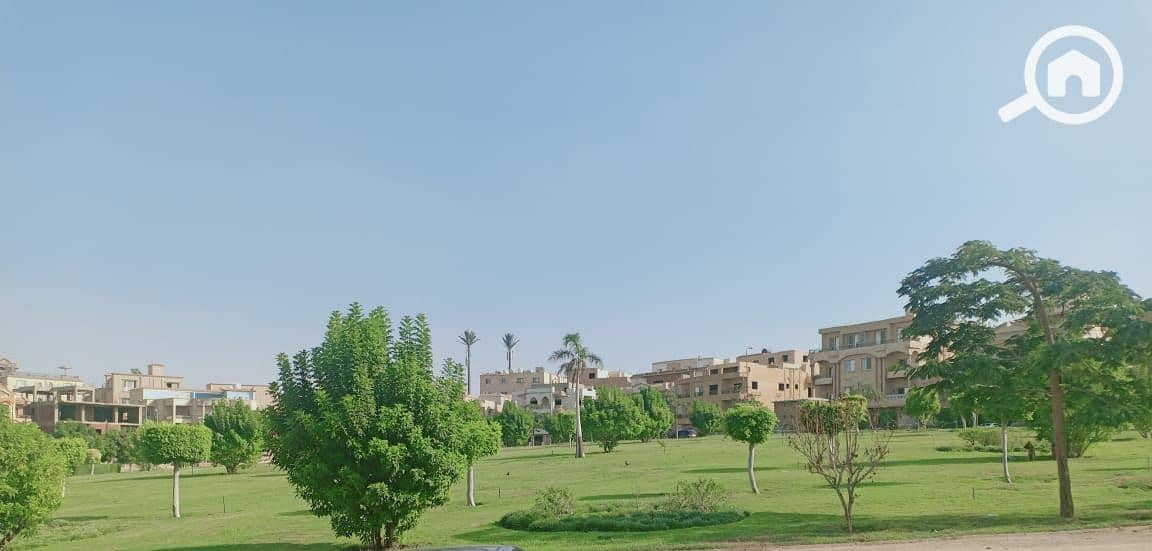 2 160667. jpg