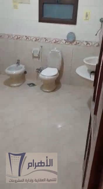 7 834089626_1598221568714270_5676393923400610239_n. jpeg