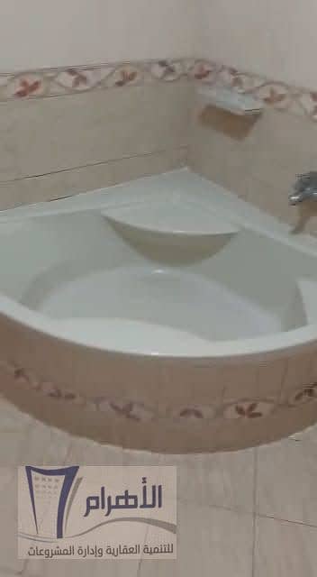 9 837837868_1571754507549368_4372511655143405383_n. jpeg