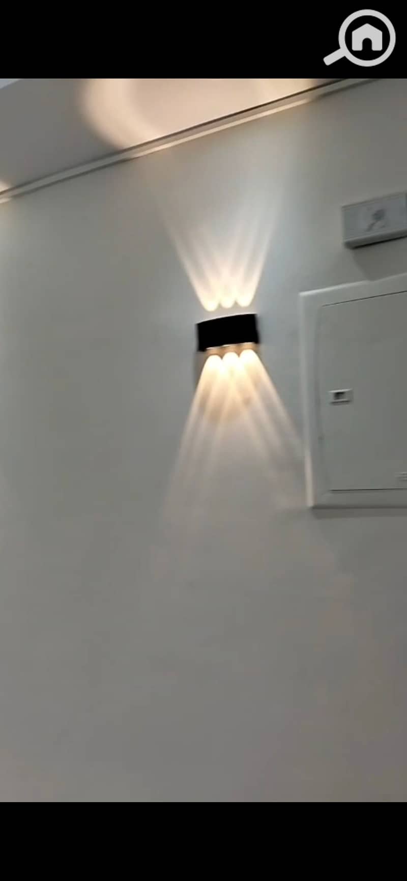 2 1023187. jpg