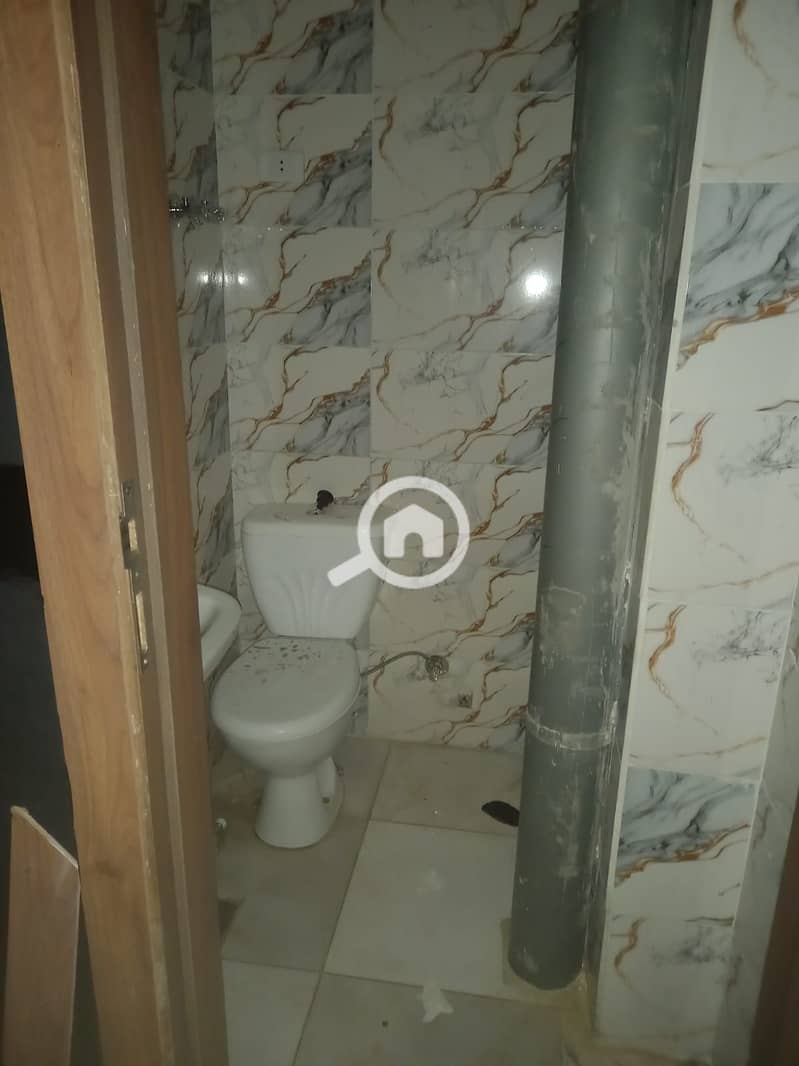 4 72963. jpg