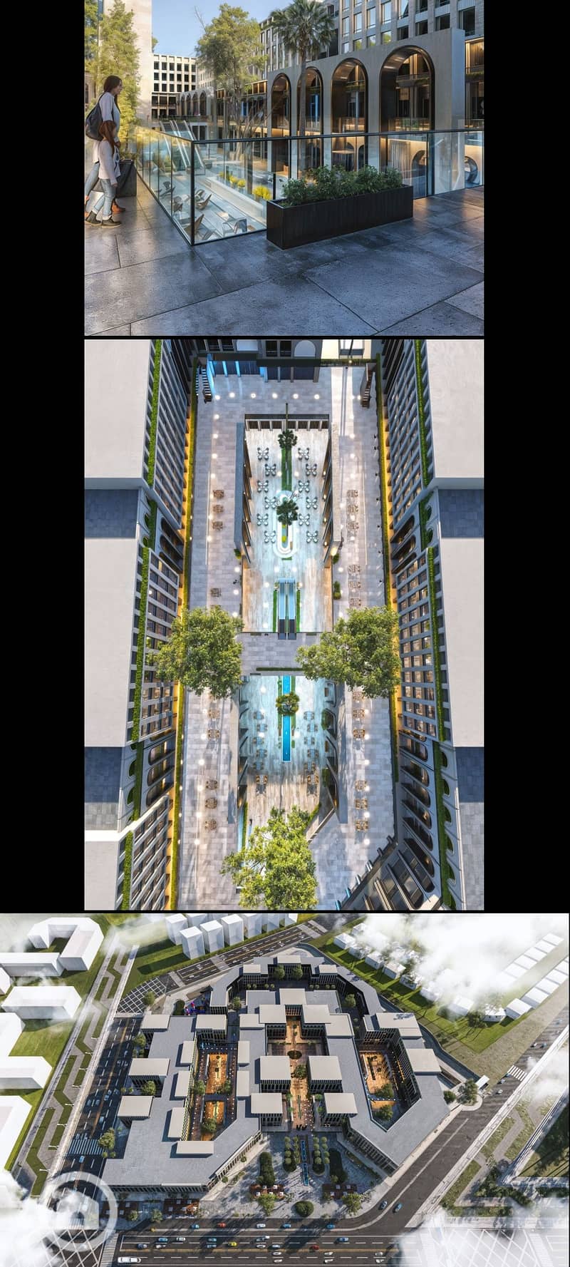 3 1000119102. jpg