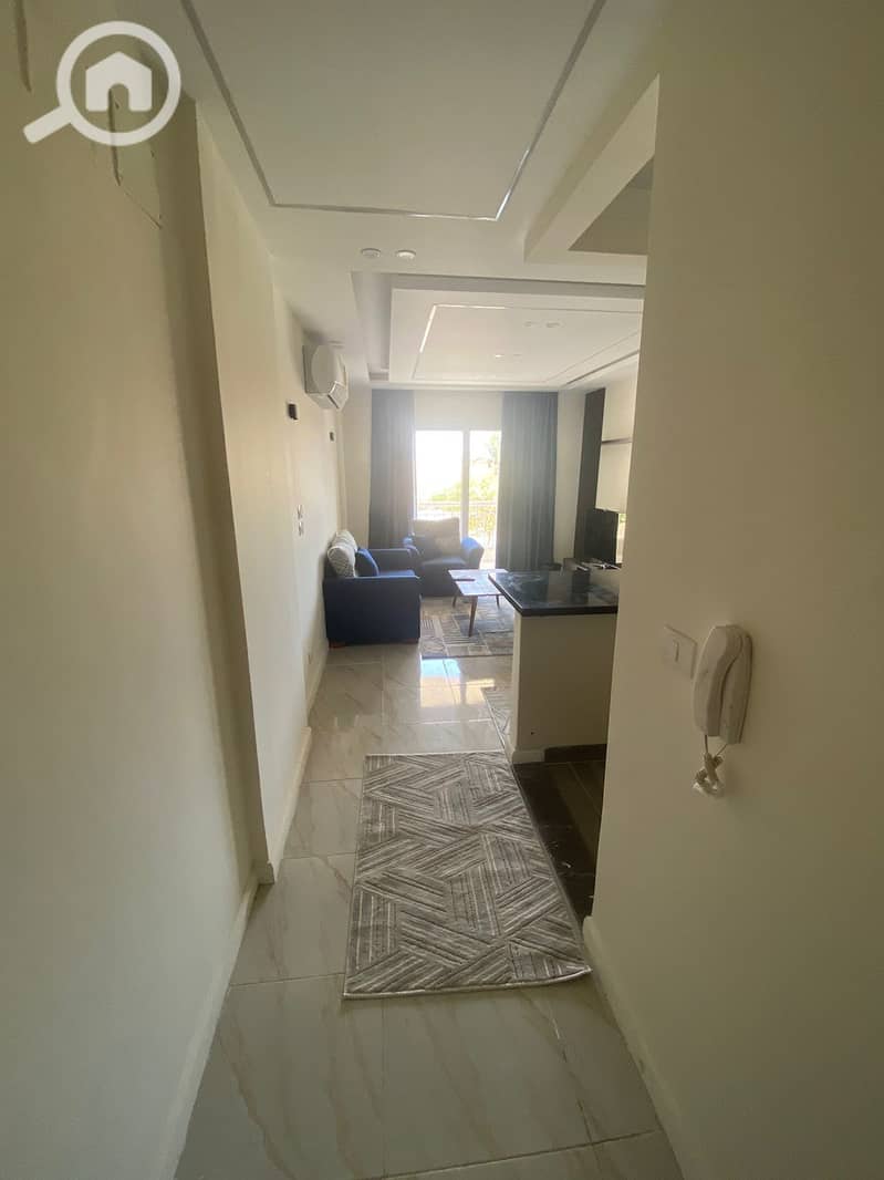 20 1000539426. jpg