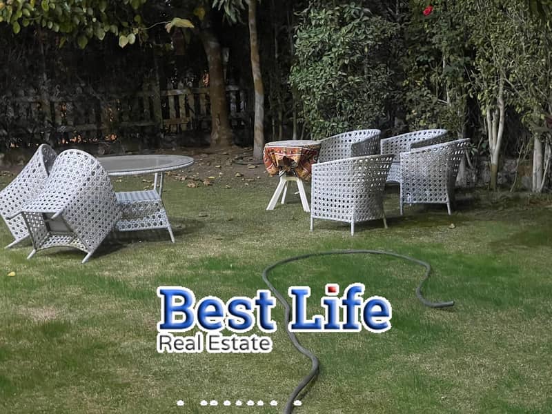 4 6ac4741001349_WhatsApp-Image-2026-10-03-at-6.28. 25-PM. jpg