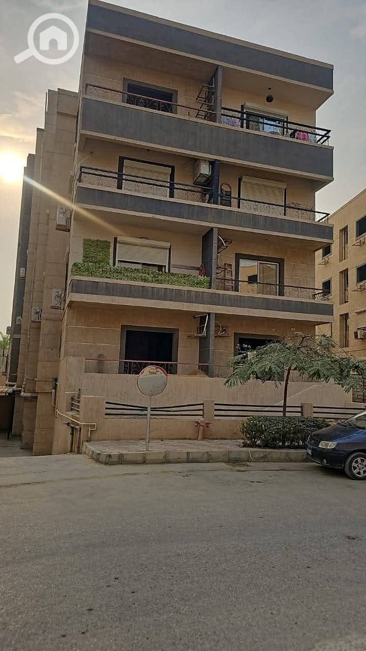 6 55984. jpg