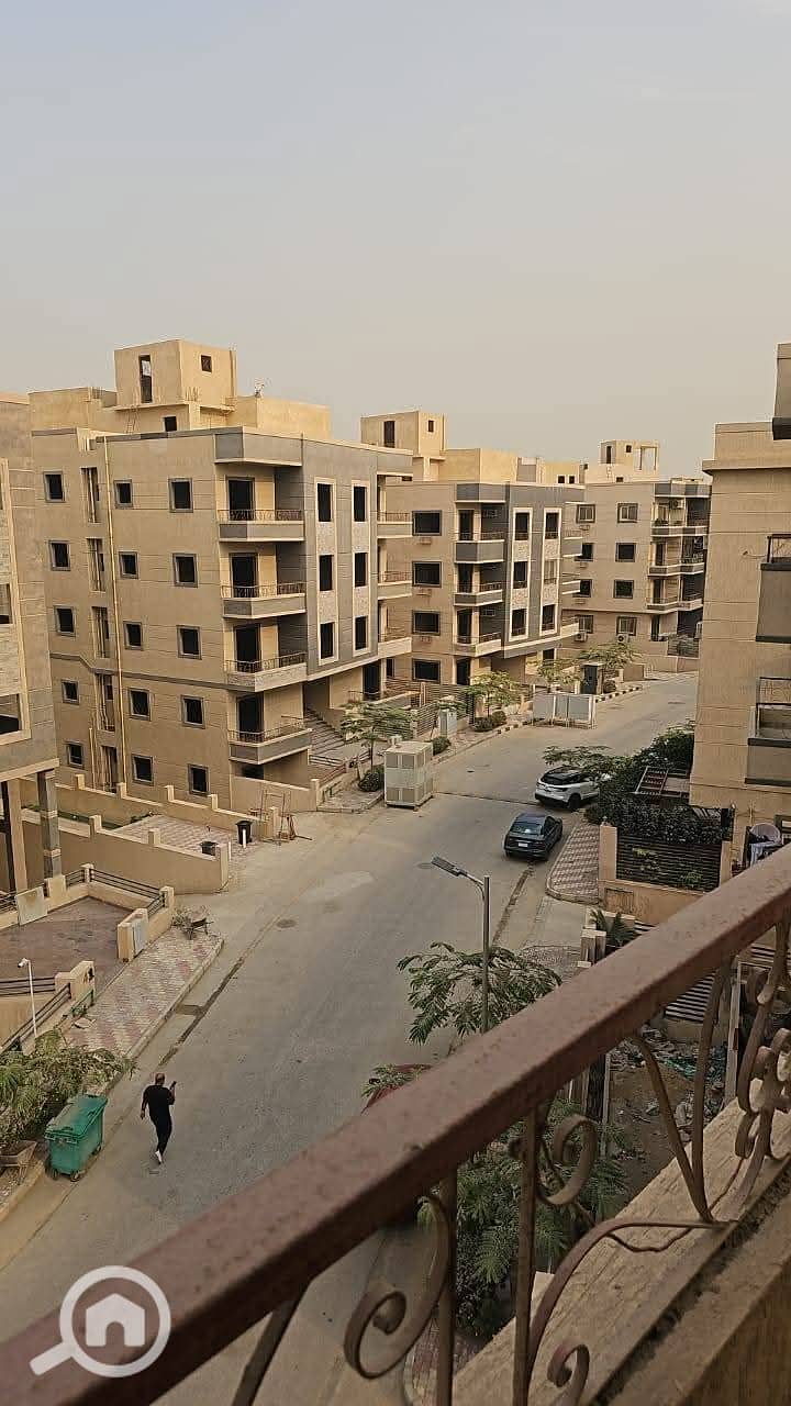 7 55986. jpg