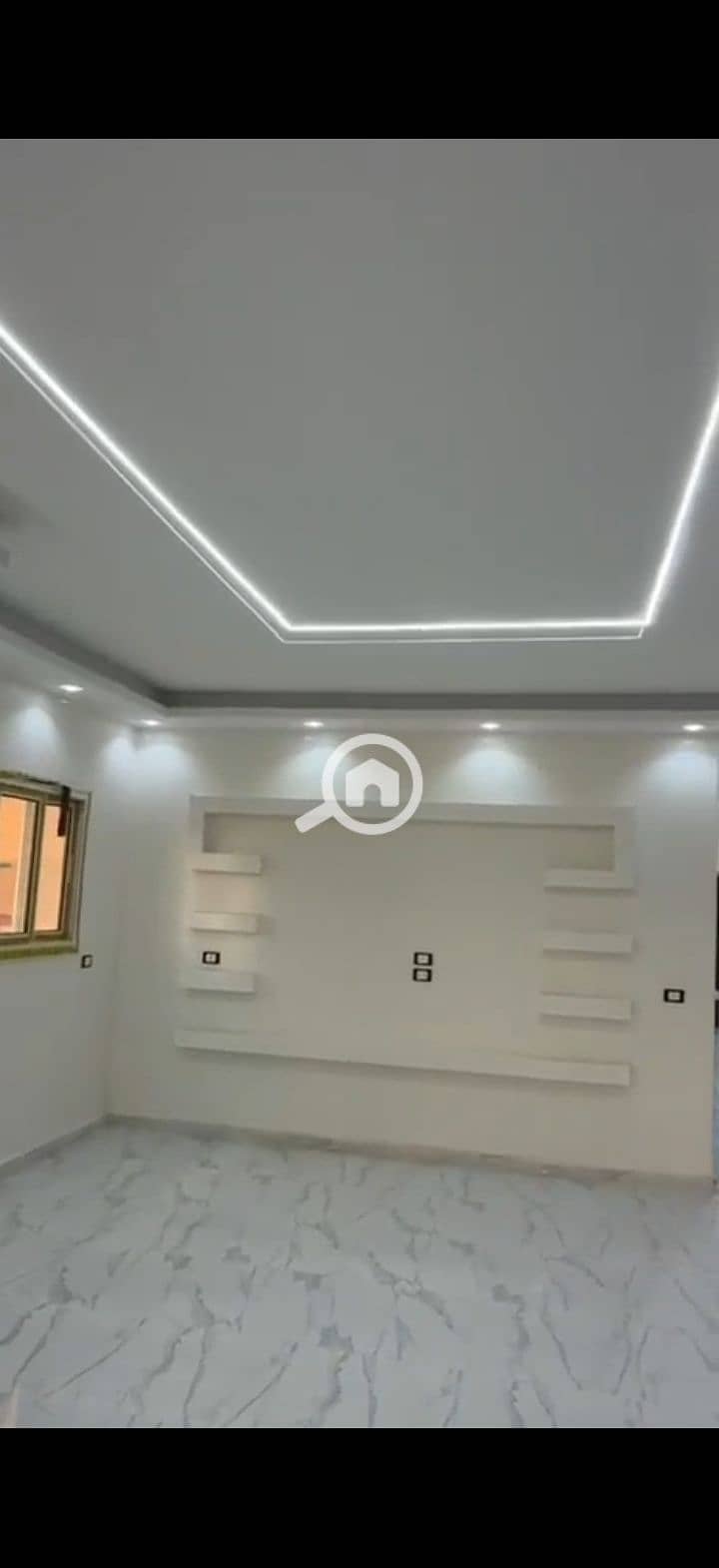 6 223038. jpg