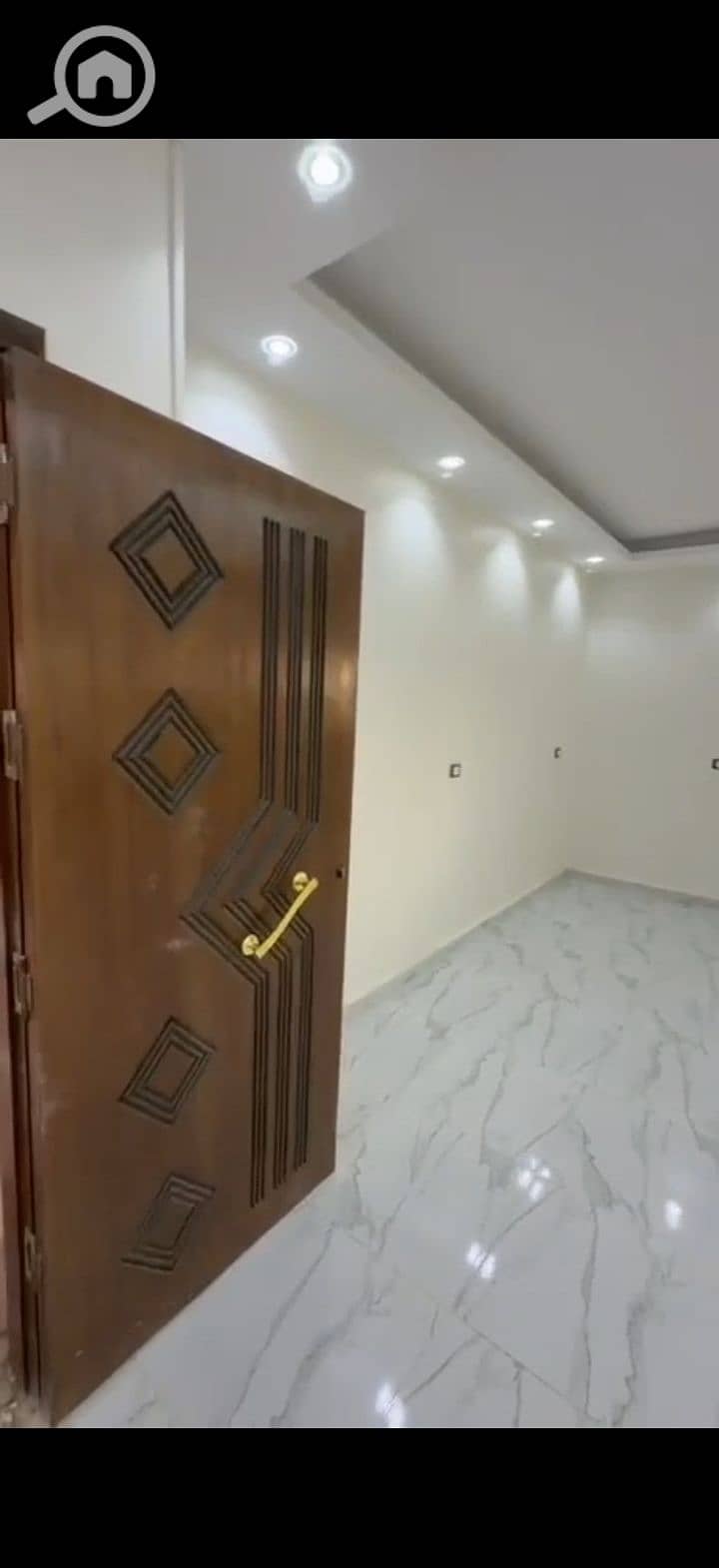 8 223035. jpg