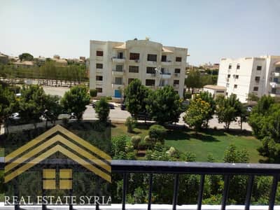 3 Bedroom Flat for Rent in Shorouk City, Cairo - 1000565274. jpg 3 Bedroom Flat for Rent in Shorouk City, Cairo - 1000565274. jpg