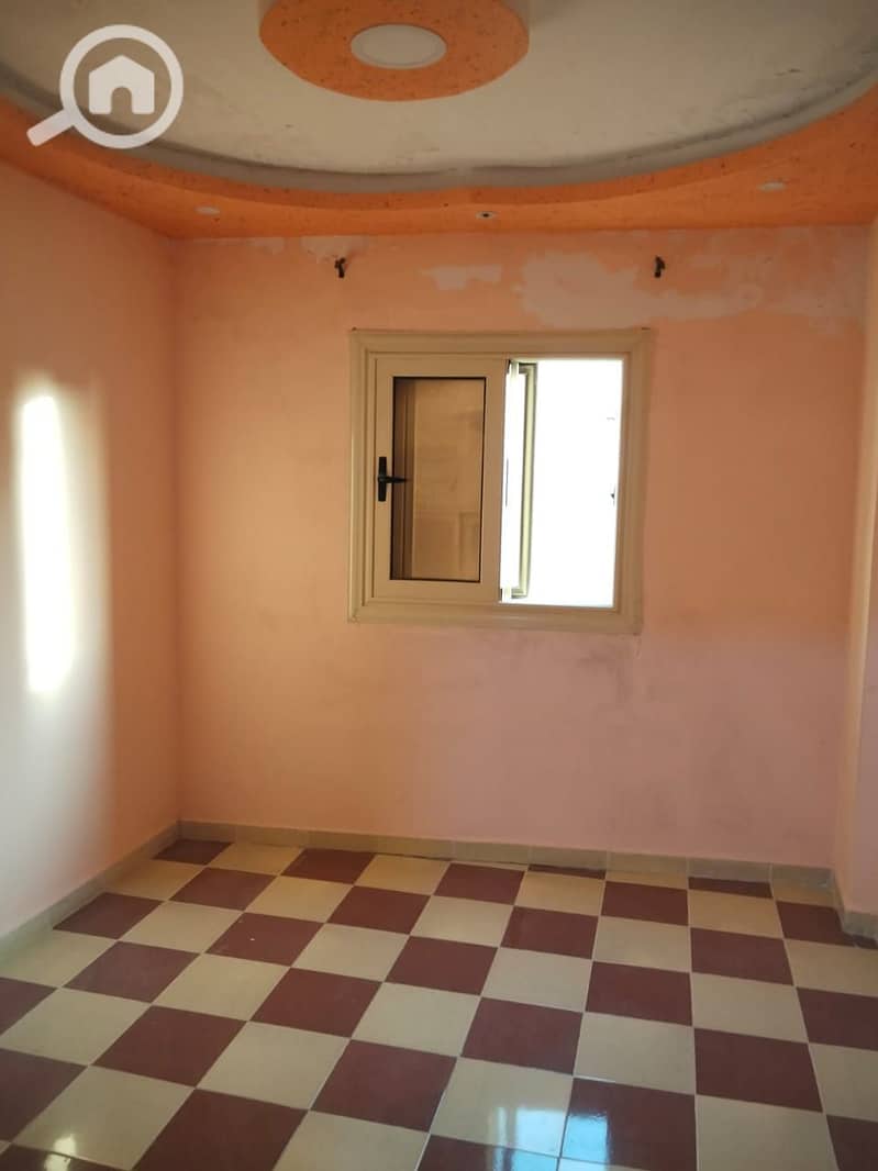 5 17819. jpg