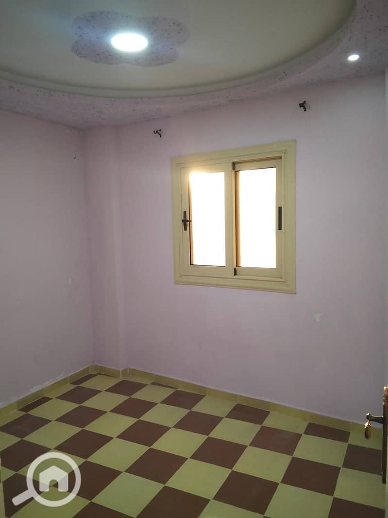 6 17813. jpg
