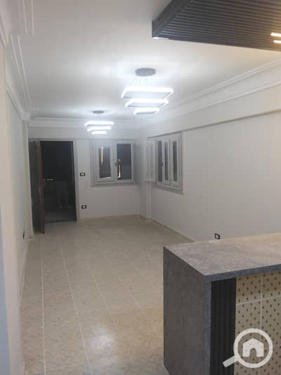 شاليه 2 غرفة نوم للايجار في النخيل، الإسكندرية - 17721. jpg شاليه 2 غرفة نوم للايجار في النخيل، الإسكندرية - 17721. jpg