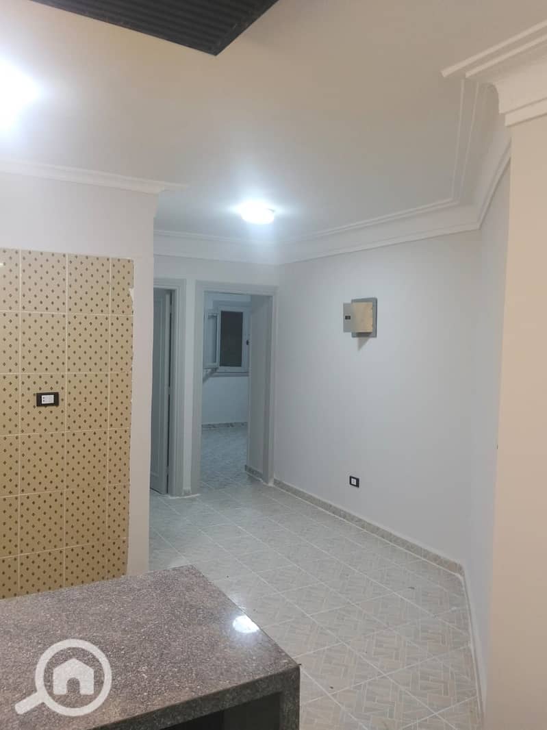 5 17723. jpg