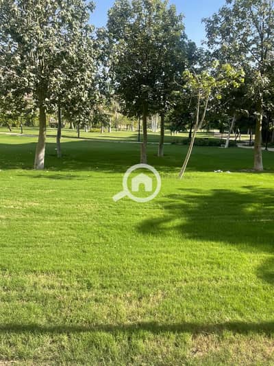 3 Bedroom Apartment for Sale in Madinaty, Cairo - cf0b021d-54c7-4d5a-b877-71baa2465b6c. jpg 3 Bedroom Apartment for Sale in Madinaty, Cairo - cf0b021d-54c7-4d5a-b877-71baa2465b6c. jpg