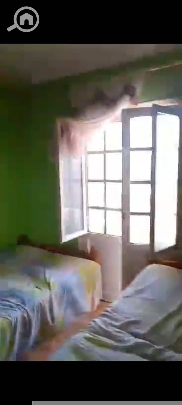 7 17884. jpg