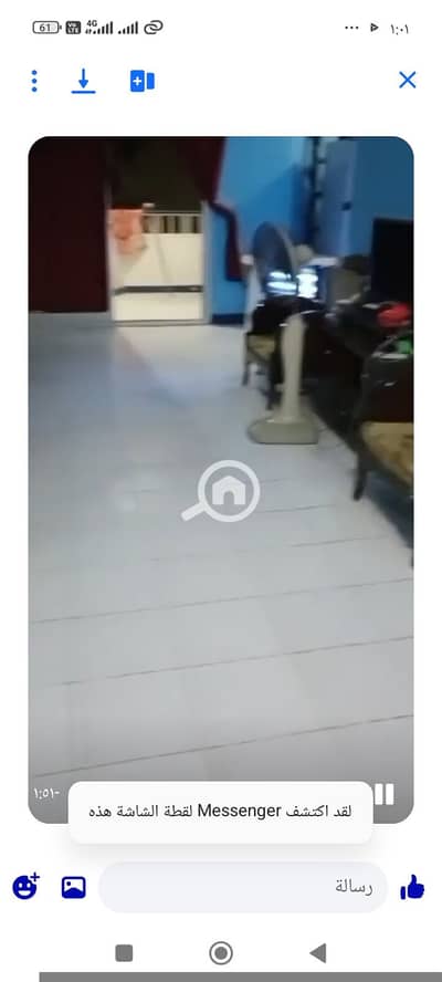 2 Bedroom Flat for Rent in Nakheel, Alexandria - 17937. jpg 2 Bedroom Flat for Rent in Nakheel, Alexandria - 17937. jpg