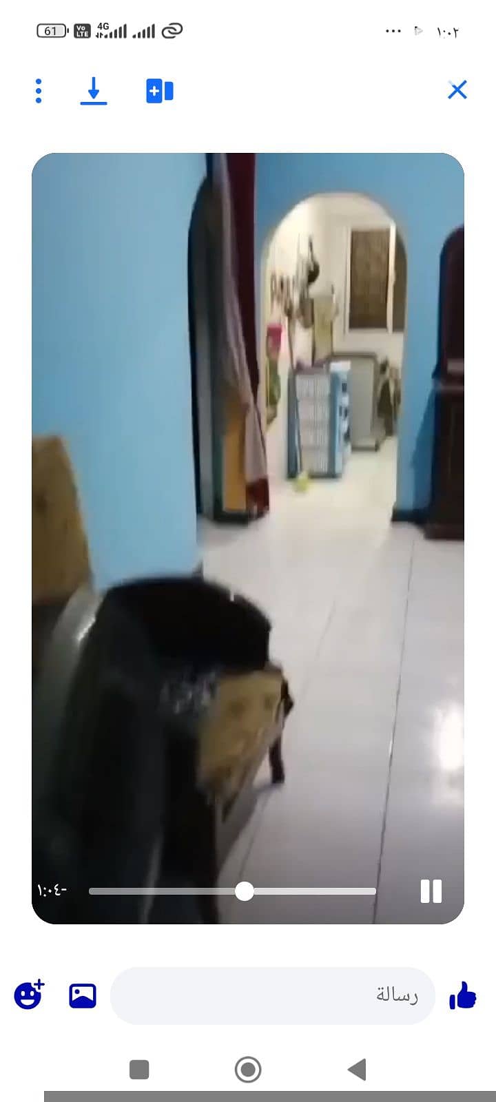 12 17946. jpg