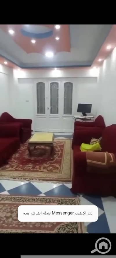 شقة 2 غرفة نوم للايجار في النخيل، الإسكندرية - 17975. jpg شقة 2 غرفة نوم للايجار في النخيل، الإسكندرية - 17975. jpg