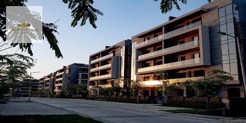 5 Where-El-Patio-oro-is-Located. jpg