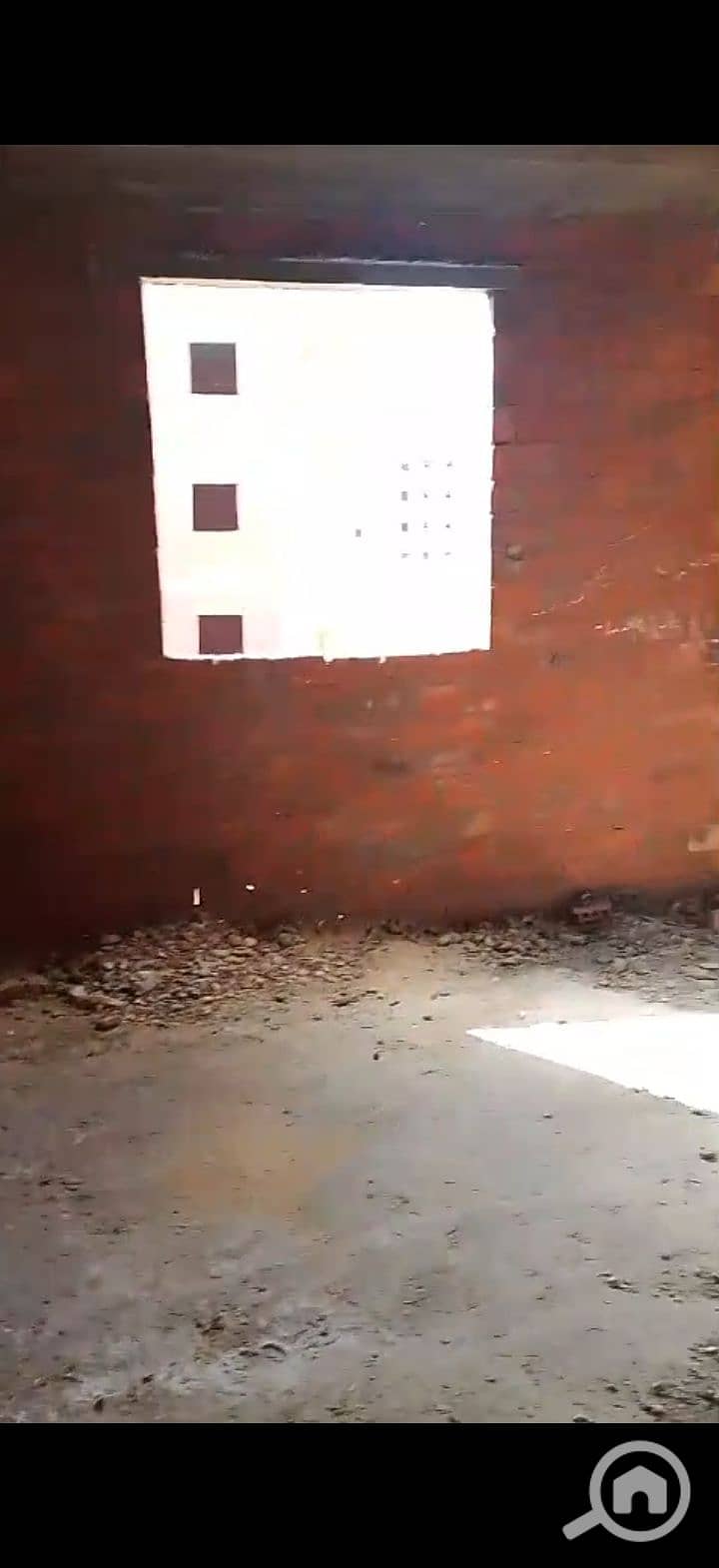 6 223492. jpg