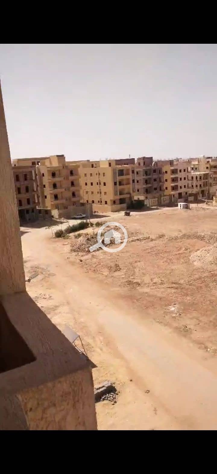 3 223506. jpg