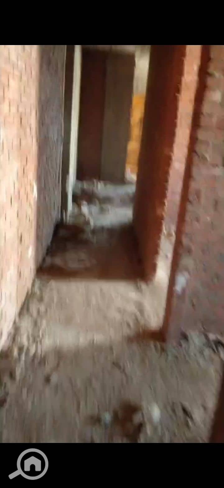 6 223515. jpg