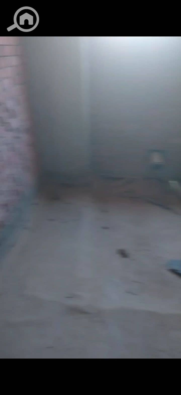 10 223519. jpg