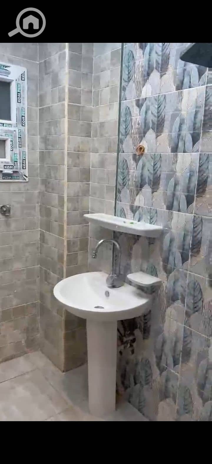 6 223745. jpg