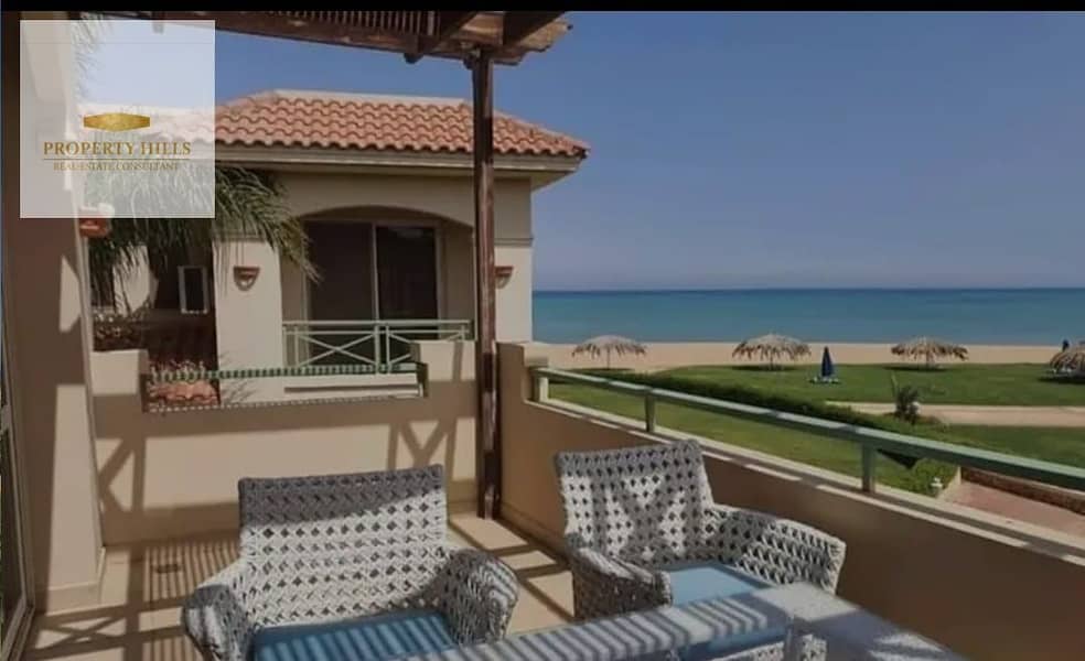 9 473979102_1315839503089329_384803903845910387_n. jpg