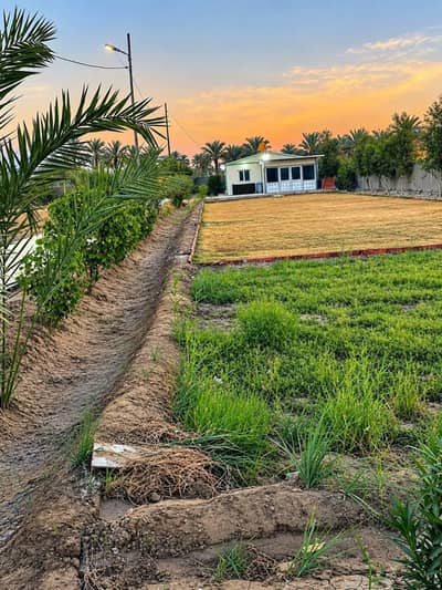 عقارات تجارية اخرى للبيع في 6 اكتوبر، الجيزة - مزرعه للبيع 10 فدان ملك مسجل عقارات تجارية اخرى للبيع في 6 اكتوبر، الجيزة - مزرعه للبيع 10 فدان ملك مسجل