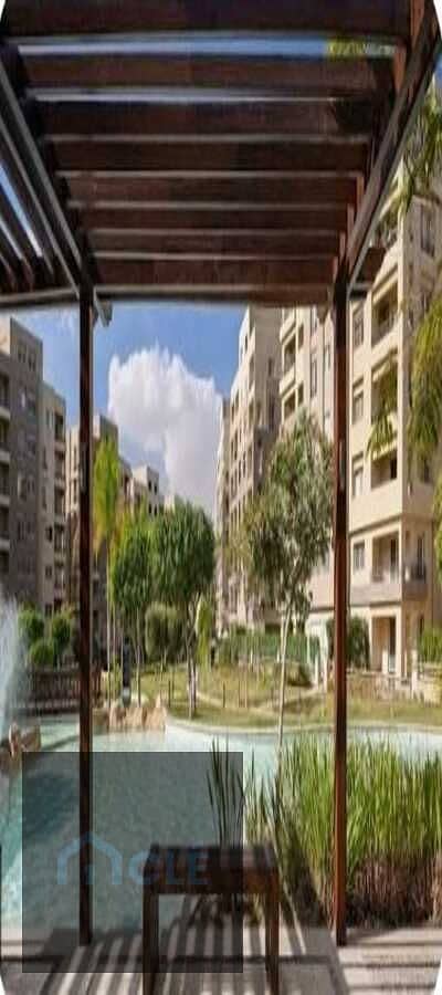 6 WhatsApp Image 2026-10-06 at 16.24. 15. jpeg