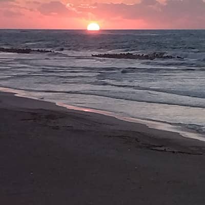 2 Bedroom Apartment for Rent in Agami, Alexandria - شقة للايجار فى العجمى شاطئ الزهور 2 Bedroom Apartment for Rent in Agami, Alexandria - شقة للايجار فى العجمى شاطئ الزهور