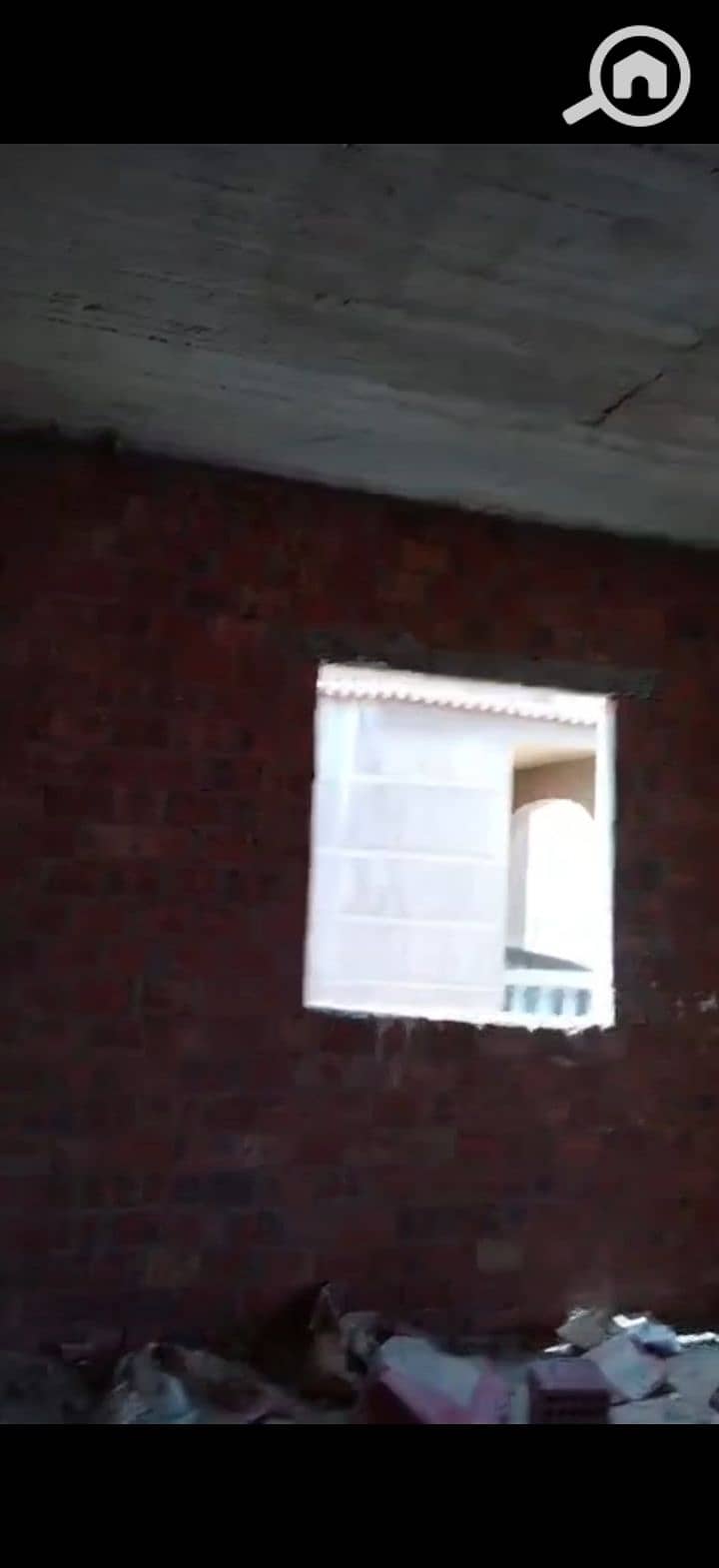 5 223899. jpg