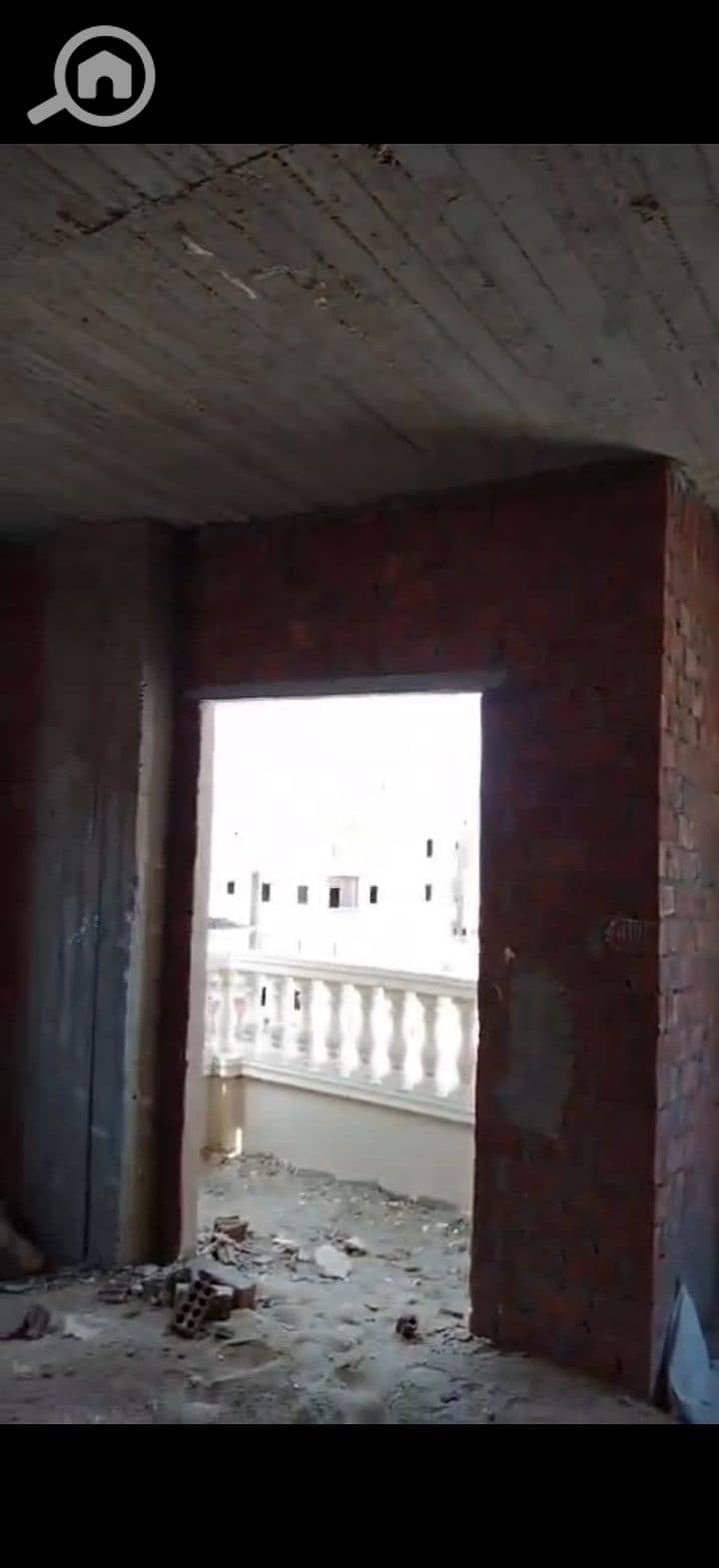 6 223898. jpg