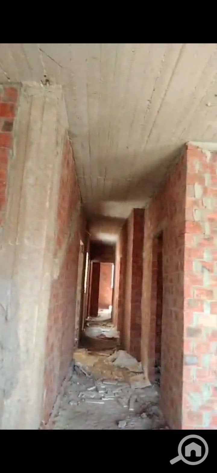 8 223900. jpg