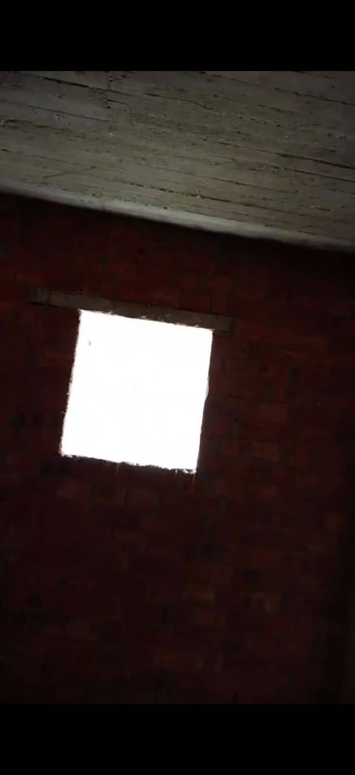 9 223901. jpg