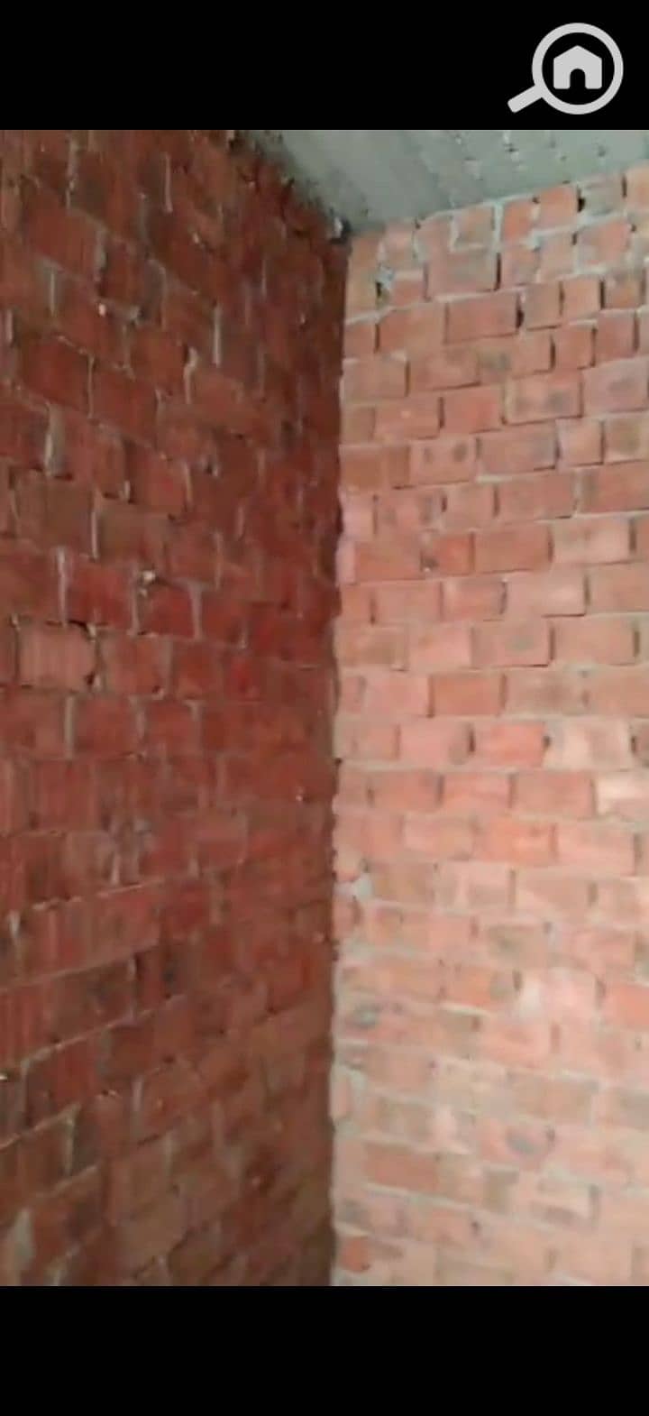 15 223907. jpg