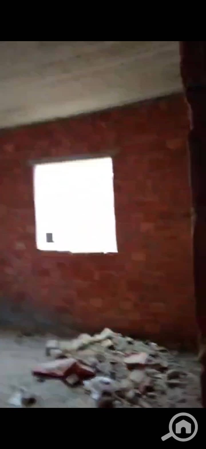 18 223909. jpg