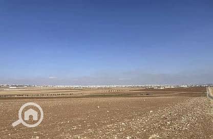 أرض للبيع في العامرية، الإسكندرية - سثبسث. jpg أرض للبيع في العامرية، الإسكندرية - سثبسث. jpg