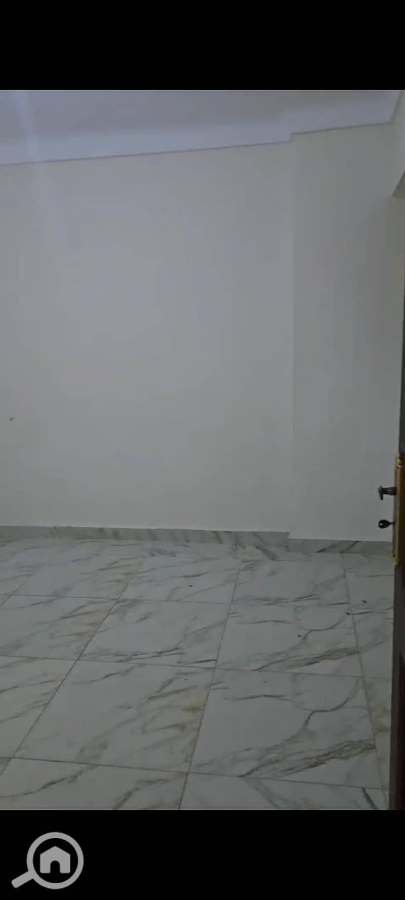 15 134283. jpg