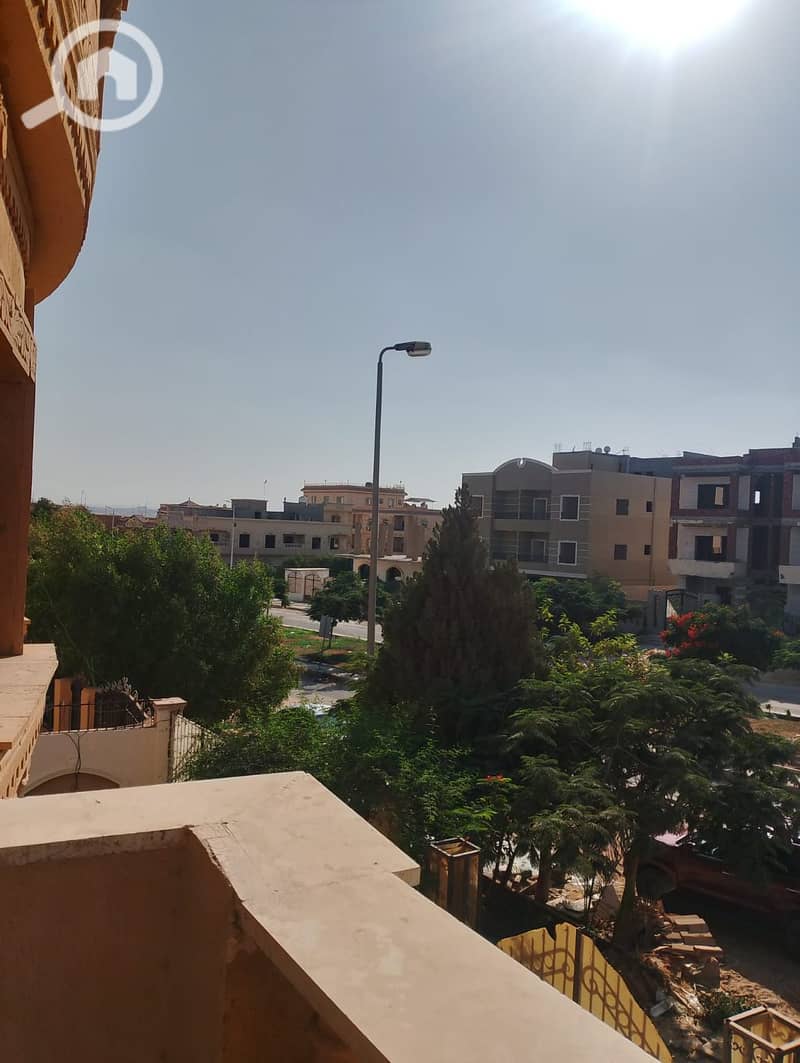 5 1002146049. jpg