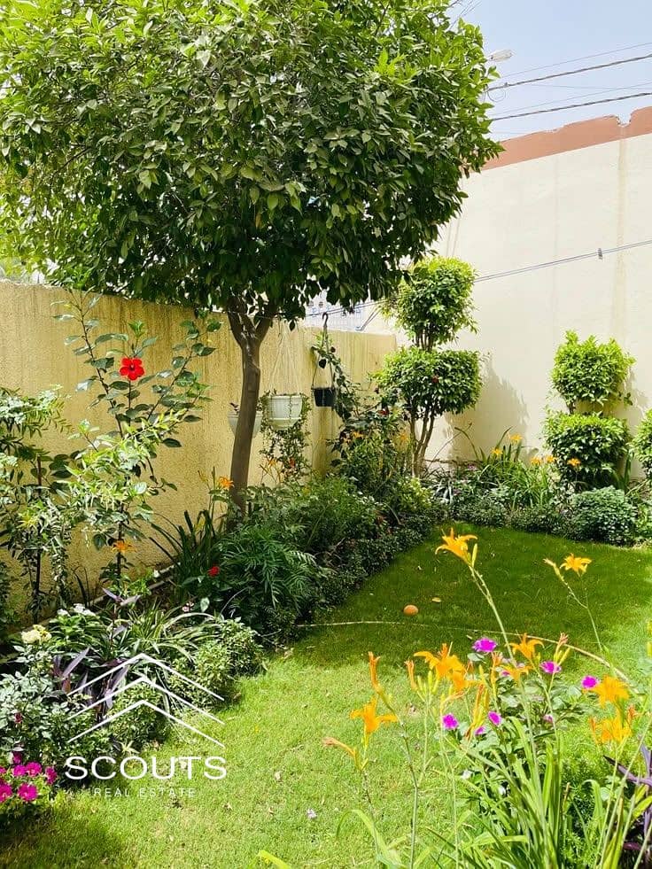 2 Our garden with the iraqi Citrus aurantium. jpg