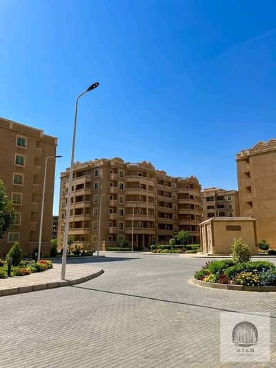 فلیٹ 3 غرف نوم للبيع في القاهرة الجديدة، القاهرة - WhatsApp Image 2026-10-07 at 11.03. 31 AM. jpeg فلیٹ 3 غرف نوم للبيع في القاهرة الجديدة، القاهرة - WhatsApp Image 2026-10-07 at 11.03. 31 AM. jpeg