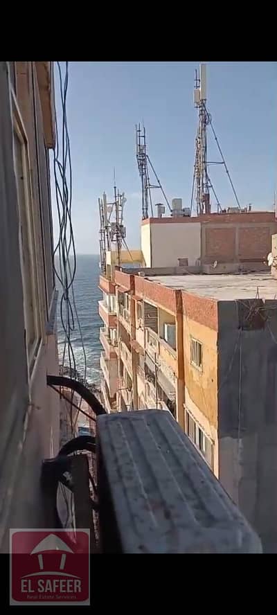 شقة 2 غرفة نوم للايجار في كليوباترا، الإسكندرية - 2898675b-0a6c-4889-9770-68dff364d85b. jpg شقة 2 غرفة نوم للايجار في كليوباترا، الإسكندرية - 2898675b-0a6c-4889-9770-68dff364d85b. jpg