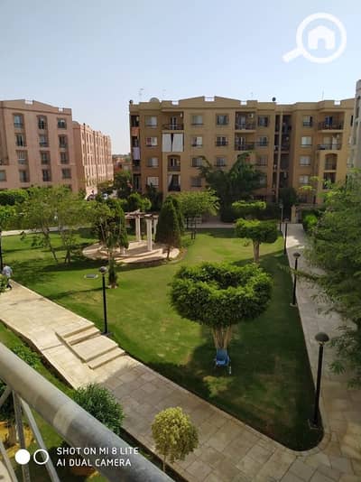 فلیٹ 3 غرف نوم للايجار في القاهرة الجديدة، القاهرة - 65165391_368592607182654_5761016024136679424_n. jpg